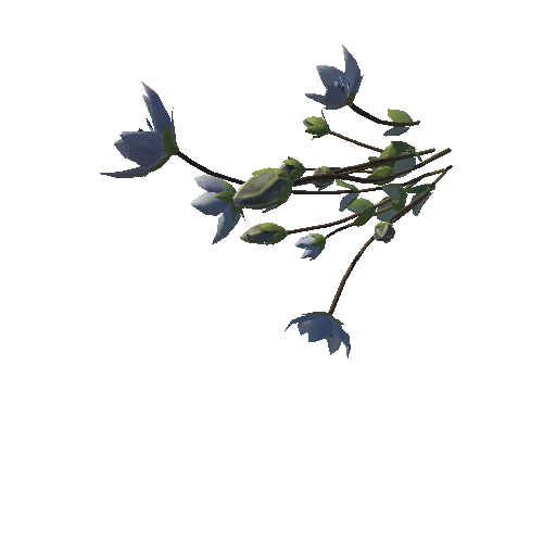 3D flower Collection vol02 Lomatogonium03_L